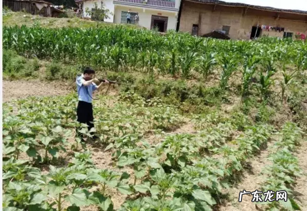 安康发生的大事小事……6.26 风水房子旁边神公庙