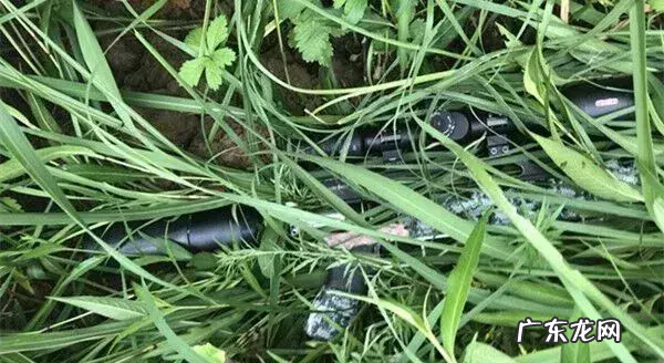 安康发生的大事小事……6.26 风水房子旁边神公庙