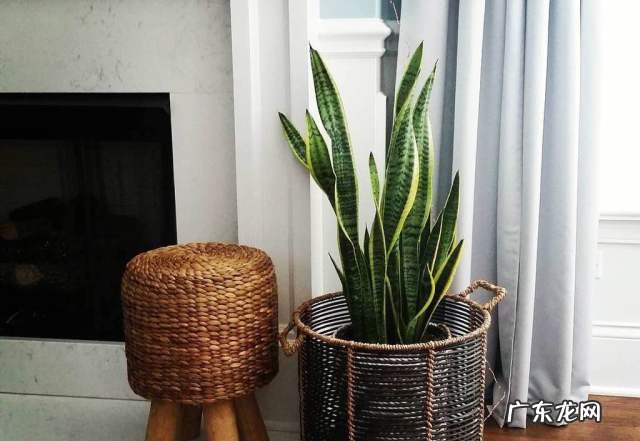 没有风水怎么办 风水好就是没风吗