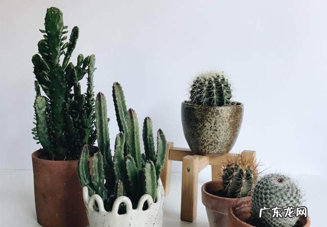 没有风水怎么办 风水好就是没风吗