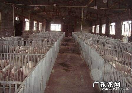 8月底有些地方的猪肉终于掉价了12一斤,你怎么看?