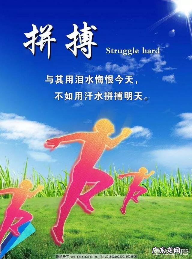 如果真的不打算结婚了,下一步的人生该怎么规划?