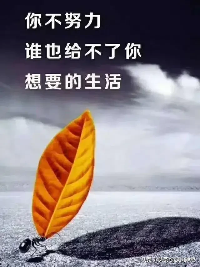今年你流过泪吗?善良,感恩,感动,激动,幸福,你流过几次泪?