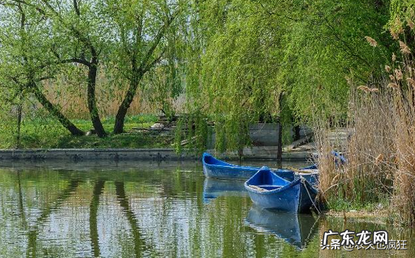 房前种柳树好吗?俗语“门前一棵柳,金银财宝往家走”,有道理吗 风水房子柳树