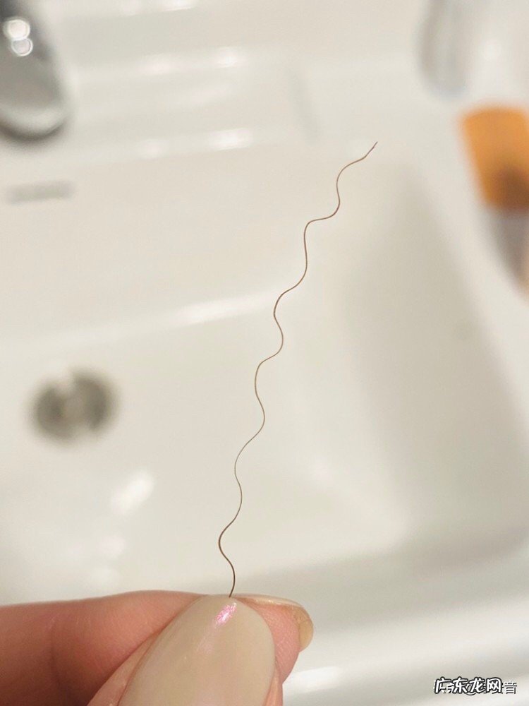 头发发质是沙发,该怎么养护?