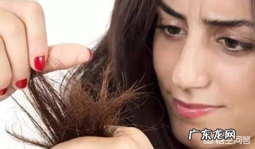 头发发质是沙发,该怎么养护?