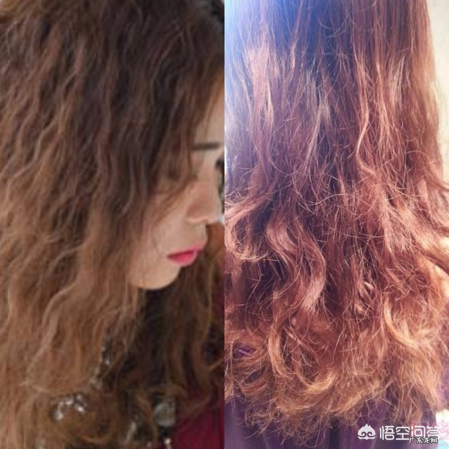 头发发质是沙发,该怎么养护?