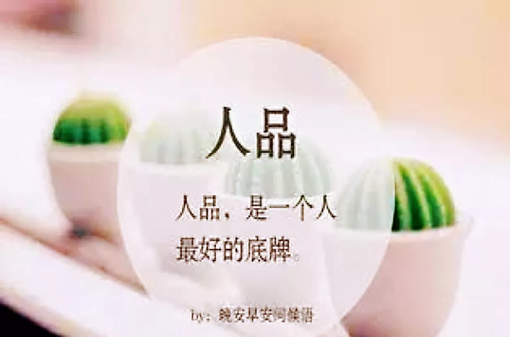 你相信有一种爱,就是互不打扰吗?