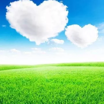 你相信有一种爱,就是互不打扰吗?