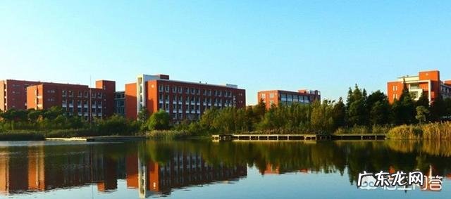 武汉理工大学,南京理工大学和华东理工大学这三个上层的211大学,哪个实力更强一点?