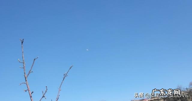 恋爱中,哪些撩妹句子,可以让她充满甜蜜?