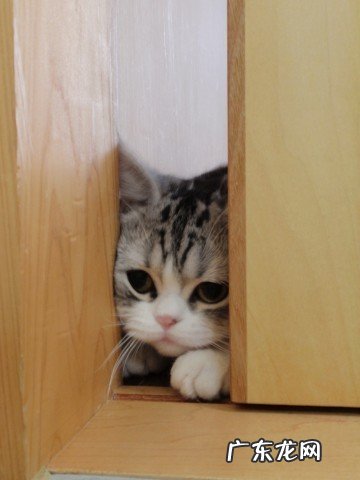 为什么有的人喜欢孤独?