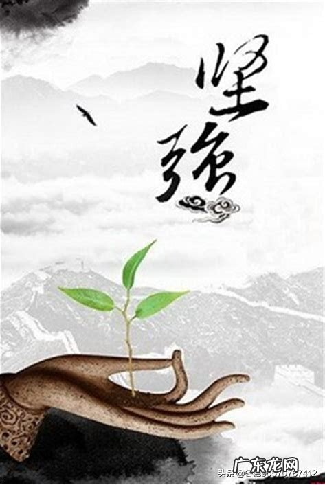 为什么有的人喜欢孤独?