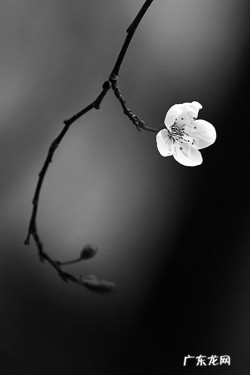 为什么有的人喜欢孤独?