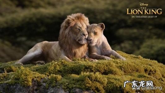 什么电影或者电视剧适合学习英语?