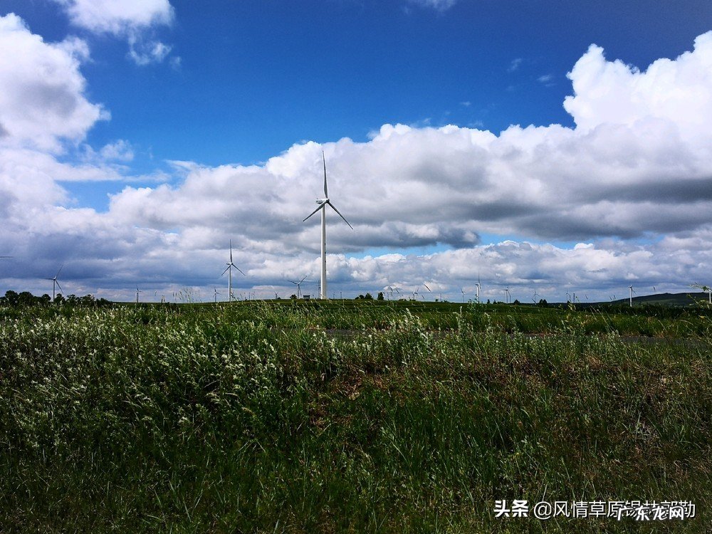 一生中不能错过的旅行有哪些?