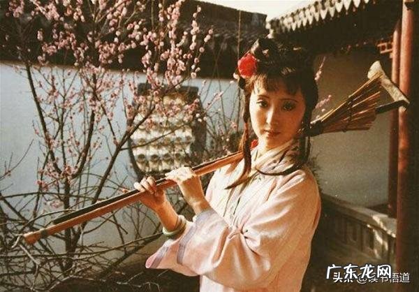 黛玉诗中的“一年三百六十天，风刀霜剑严相逼”，她具体在指向什么？