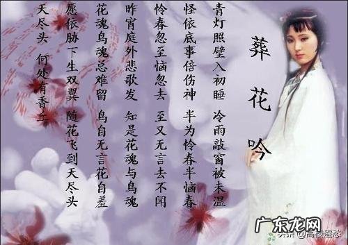 黛玉诗中的“一年三百六十天,风刀霜剑严相逼”,她具体在指向什么?