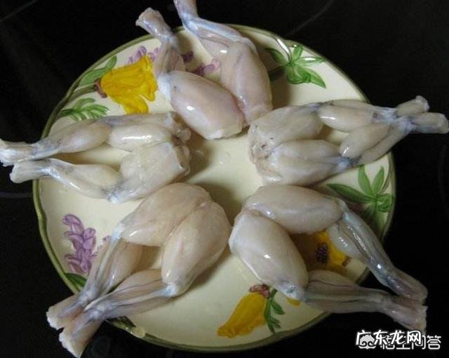 养殖牛蛙有“钱途”吗?