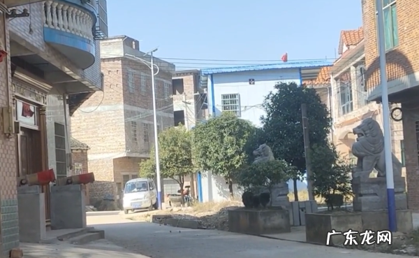 湖南永州:两户村民住对门,一个狮子镇宅!一个大炮辟邪!互怼 大炮对着楼房如何化解