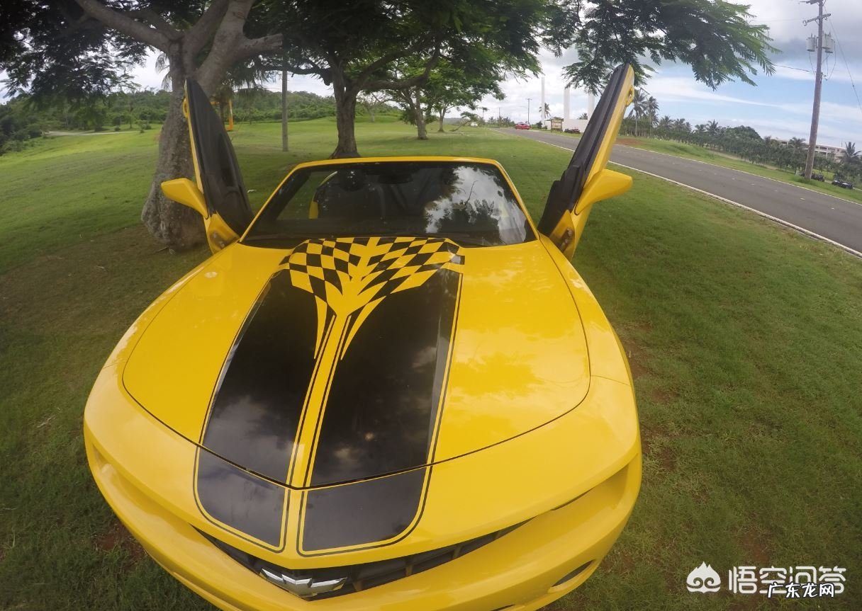 世界上哪里的海滩是最漂亮的?