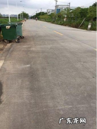 紫荆雅园 井岸紫荆苑风水如何