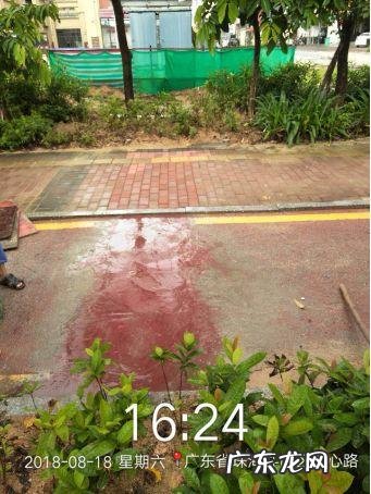 紫荆雅园 井岸紫荆苑风水如何