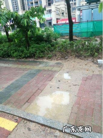 紫荆雅园 井岸紫荆苑风水如何