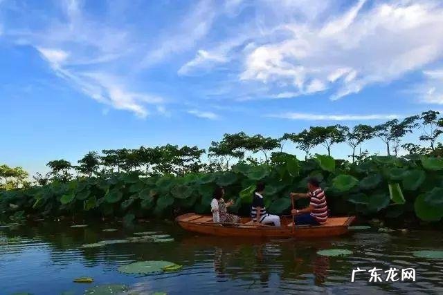 紫荆雅园 井岸紫荆苑风水如何