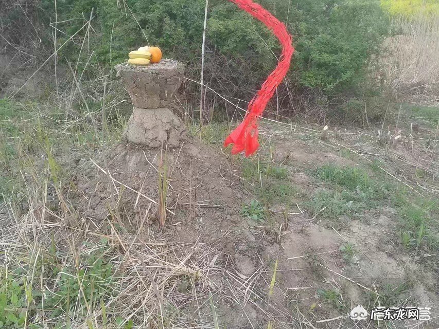 你最庆幸自己把钱花在了哪里?