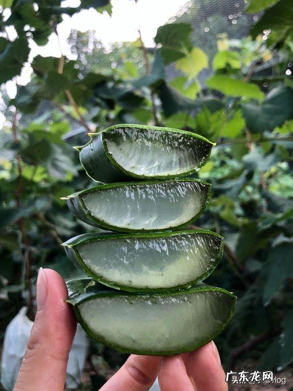 芦荟灌肤好吗，有副作用吗？