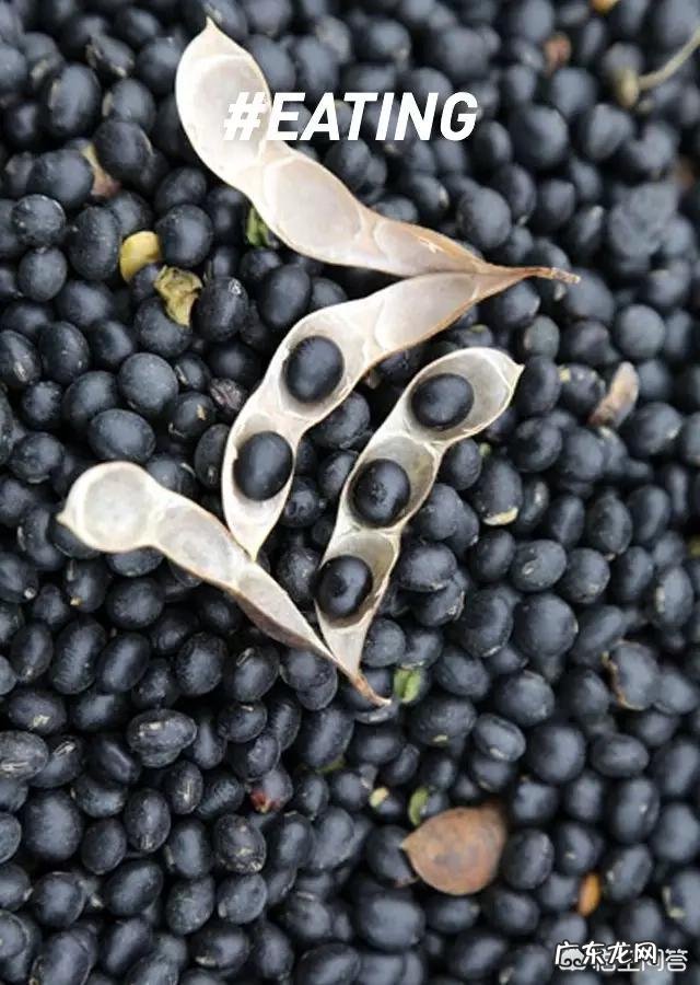 黑豆都有什么做法?