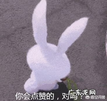 大学英语四六级有没有万能的套句呢？