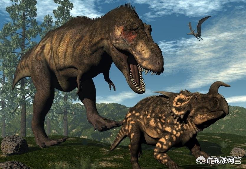 动物和人是怎么产生的？