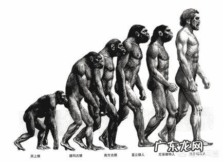 动物和人是怎么产生的？