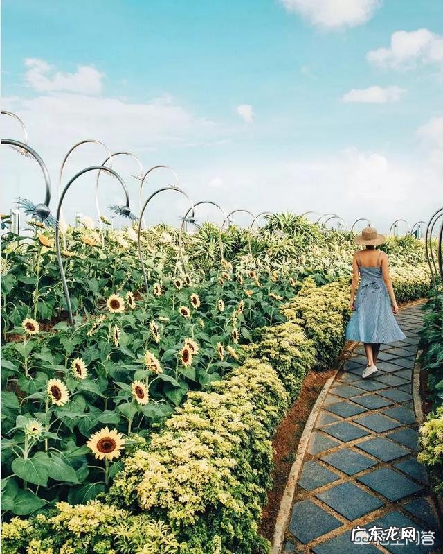 端午小长假出游,穿搭什么服饰拍照好看?