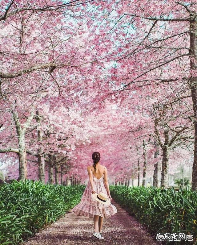 端午小长假出游,穿搭什么服饰拍照好看?