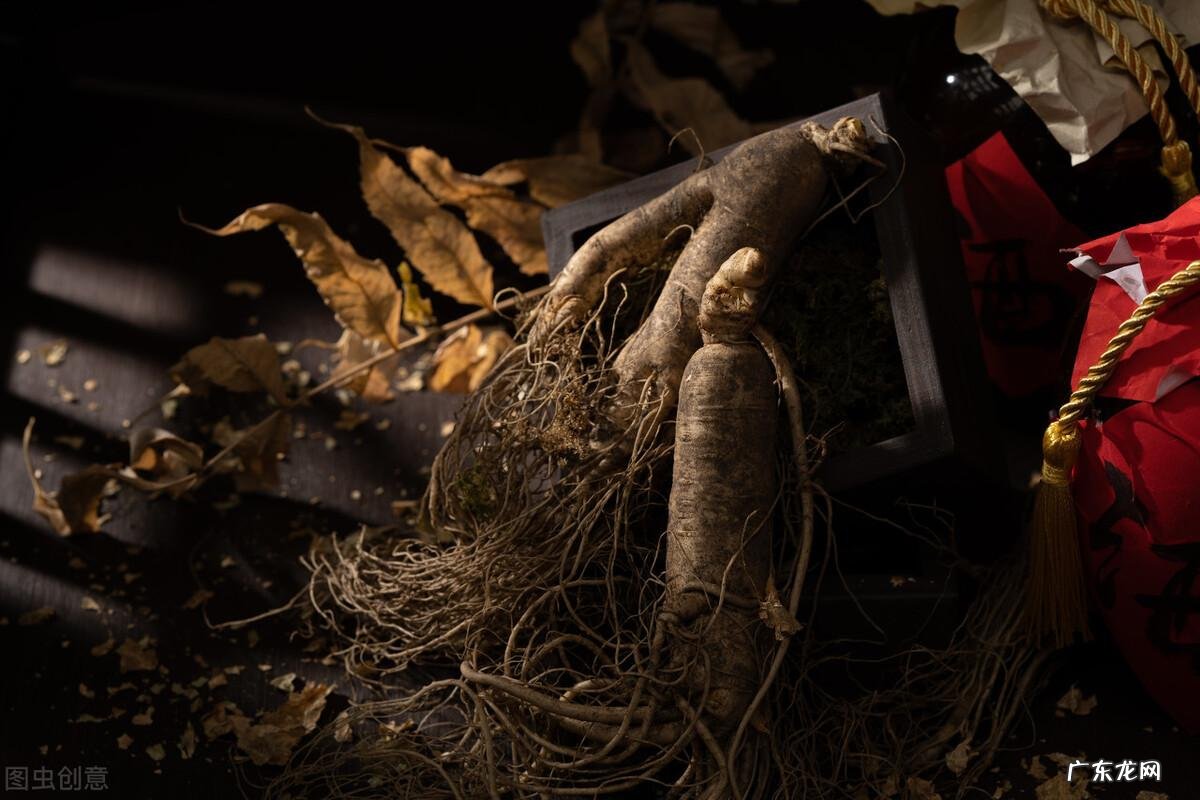 最早出现酒是哪个朝代 药酒是哪个朝代的