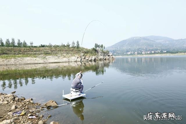 钓鲢鳙怎么找鱼层?