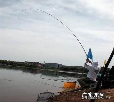 钓鲢鳙怎么找鱼层?