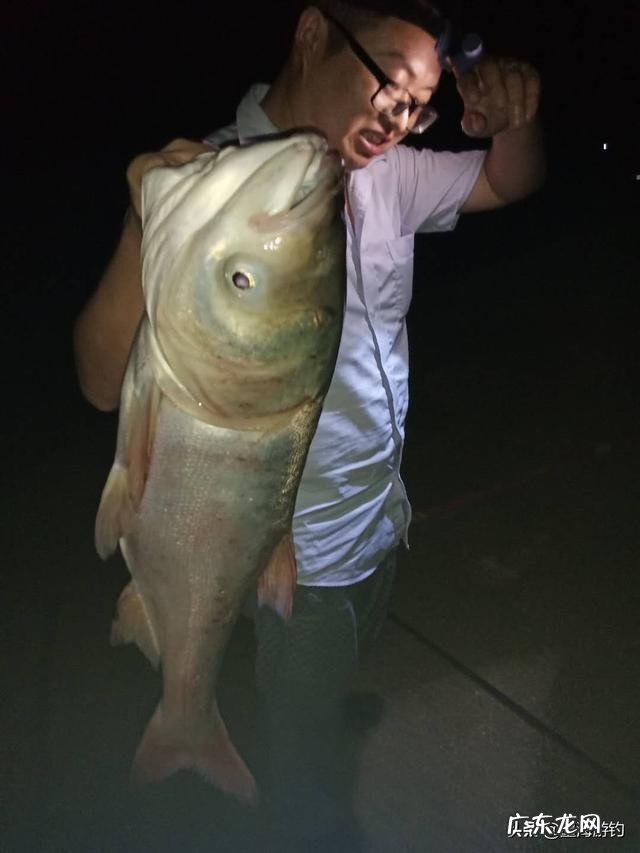 钓鲢鳙怎么找鱼层？