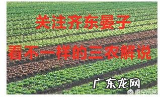 农村丧事有唱戏的环节,这种风俗源自哪里?寓意是什么?