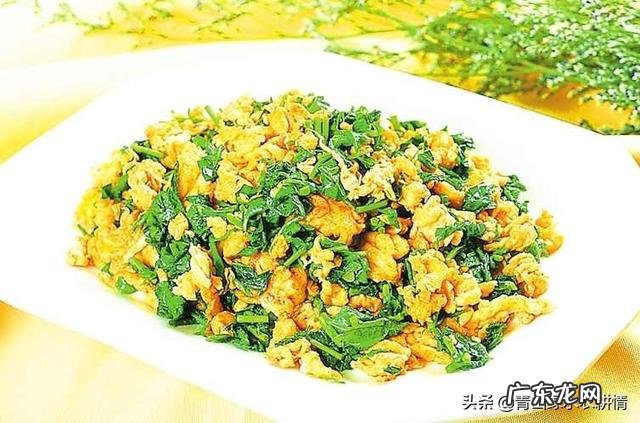 鱼腥草什么样子?