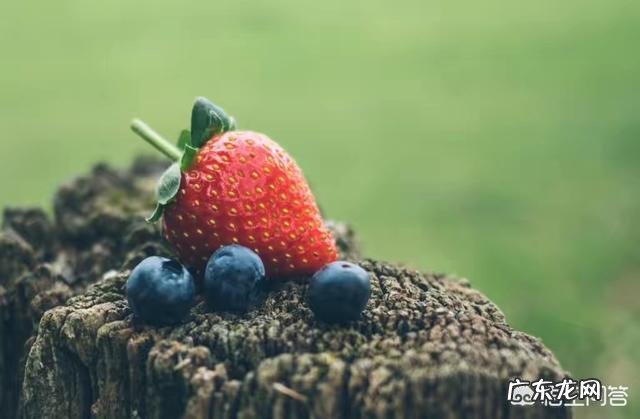 怀孕能不能吃草莓?为什么?