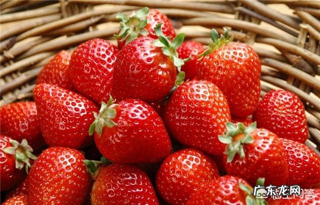 怀孕能不能吃草莓?为什么?