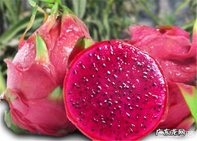 吃了红心火龙果后,尿液是红色的,是什么原因?应该怎么办?