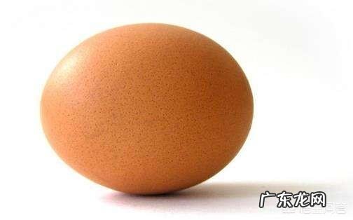 哺乳动物为什么比卵生动物及其它高级?