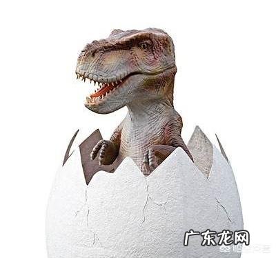 哺乳动物为什么比卵生动物及其它高级?