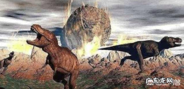 哺乳动物为什么比卵生动物及其它高级?