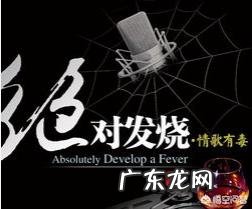 音乐发烧友都在用什么设备听歌?